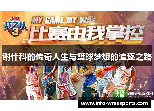 谢什科的传奇人生与篮球梦想的追逐之路